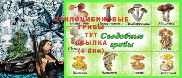 мдпв Бронницы