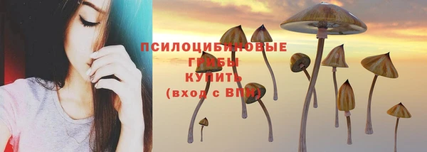 мяу мяу мука Верхнеуральск