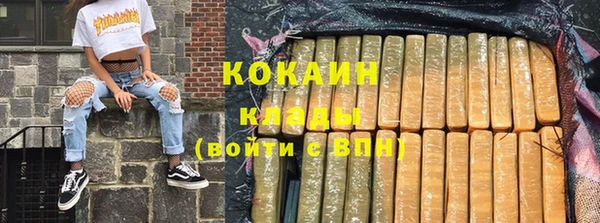 хмурый Верея