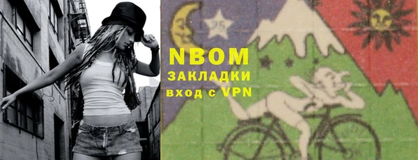 хмурый Верея