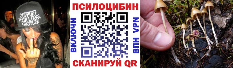 Галлюциногенные грибы мицелий  как найти   Макаров 