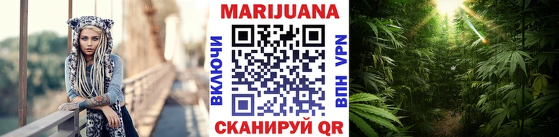 Каннабис гибрид  Макаров 